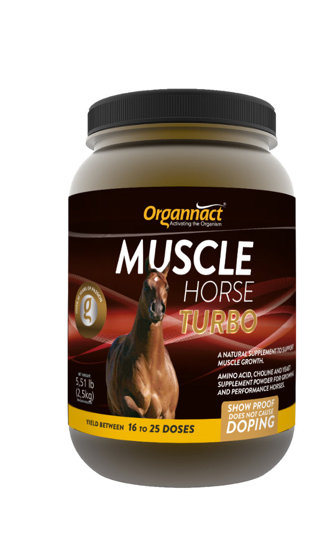 Muscle Horse Turbo