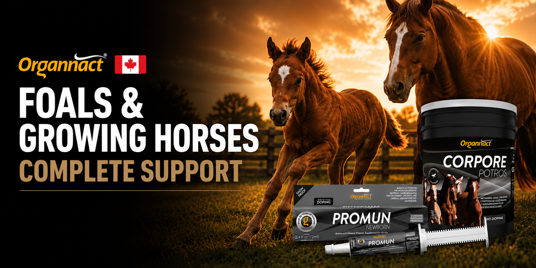 Foals & Growing Horses